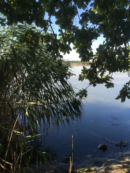 Plener Luboradów, 1 rok Rysunku