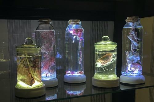 Wyspa Dnia Poprzedniego, fot. Łukasz Huculak