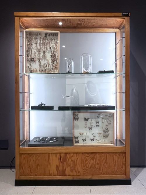 Wyspa Dnia Poprzedniego, fot. Łukasz Huculak