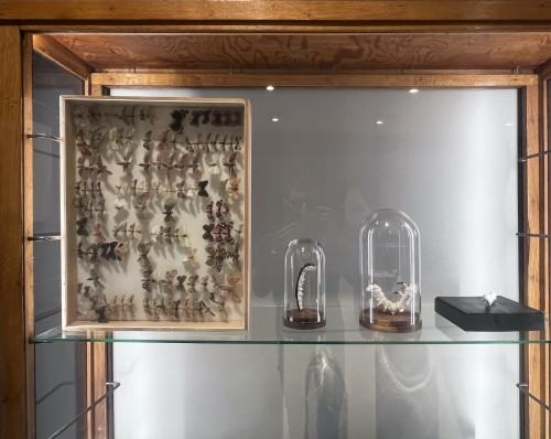 Wyspa Dnia Poprzedniego, fot. Łukasz Huculak