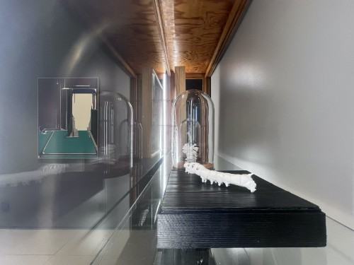 Wyspa Dnia Poprzedniego, fot. Łukasz Huculak