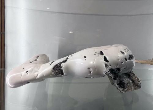 Wyspa Dnia Poprzedniego, fot. Łukasz Huculak