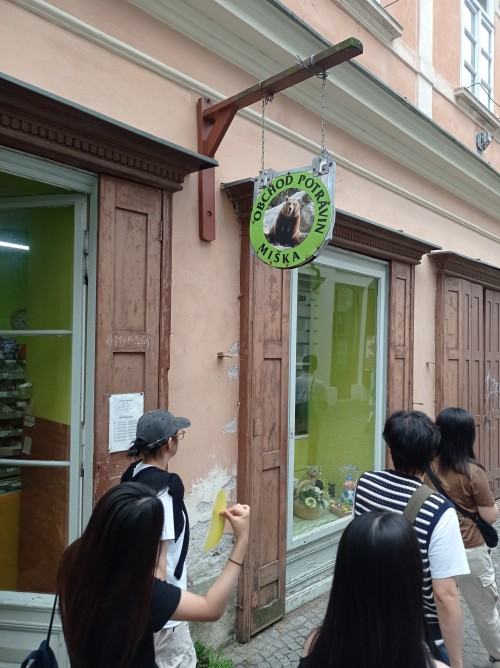 Summer Art and Design School 2024