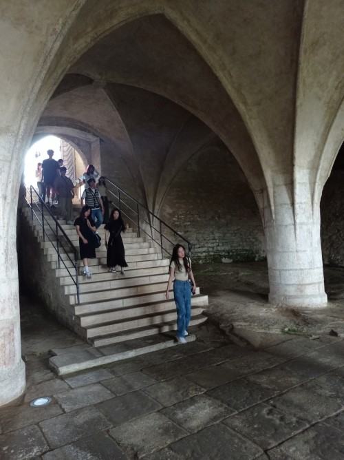 Summer Art and Design School 2024