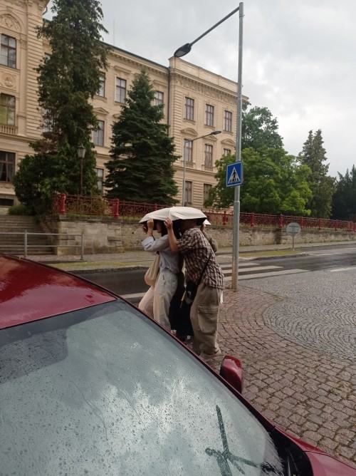 Summer Art and Design School 2024