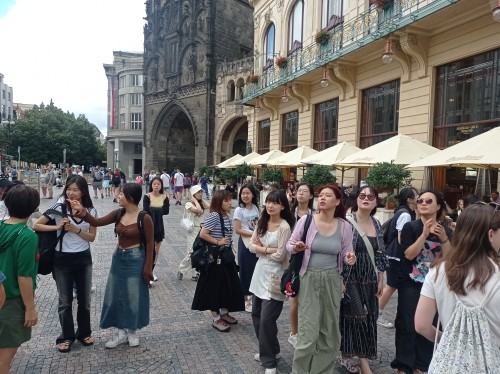 Summer Art and Design School 2024