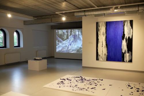 Wernisaż wystawy Urszuli Wilk pt. Płynność światła, tańce pielgrzymującej wody, zdj. Justyna Żak