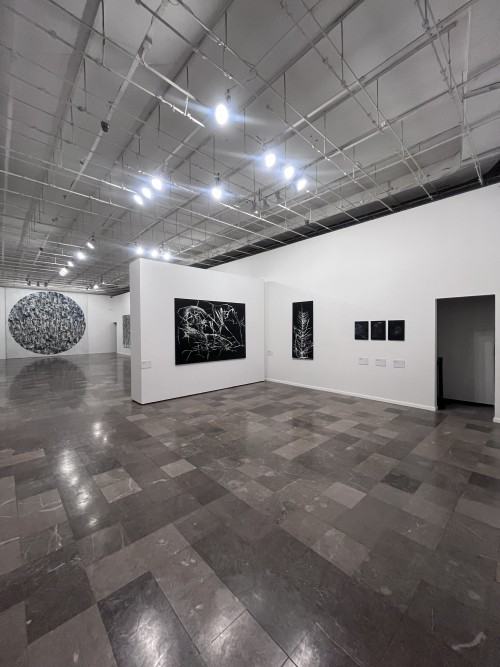 relacja z wernisażu wystawy "Obrraz" w muzeum Narodowym w Szczecinie