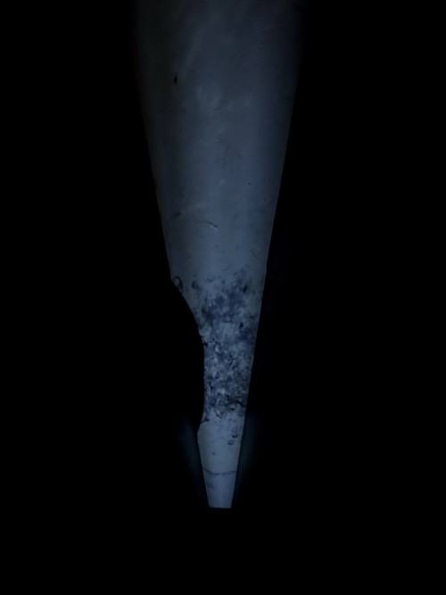 Konkurs Super Forma 2025