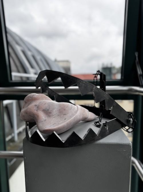 Konkurs Super Forma 2025