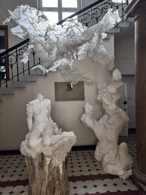 Konkurs Super Forma 2025