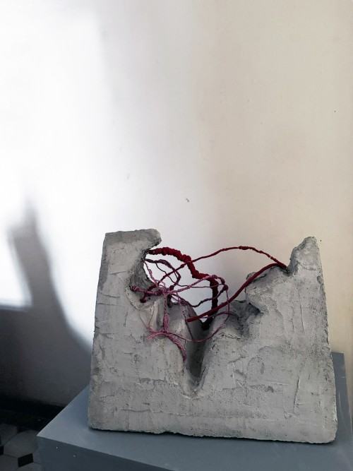 Konkurs Super Forma 2025