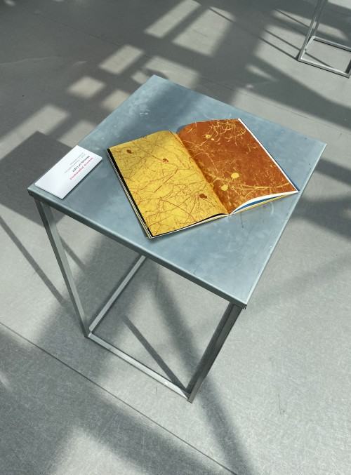 Pali się! [w Starej Kotłowni]