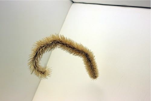 Szymon Kobylarz, Człowiek który nie przeżył końca świata _fot. J. Żak