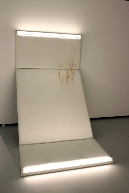 Szymon Kobylarz, Człowiek który nie przeżył końca świata _fot. J. Żak