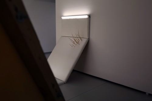 Szymon Kobylarz, Człowiek który nie przeżył końca świata _fot. J. Żak