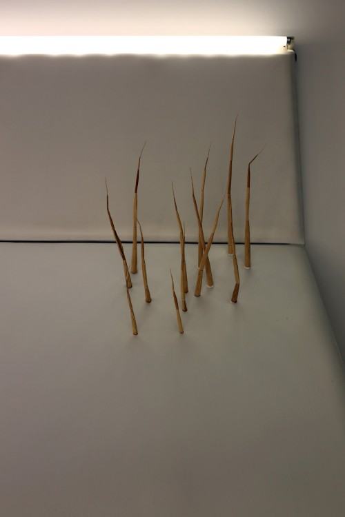 Szymon Kobylarz, Człowiek który nie przeżył końca świata _fot. J. Żak