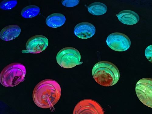 The World’s Most Beautiful Business Festival