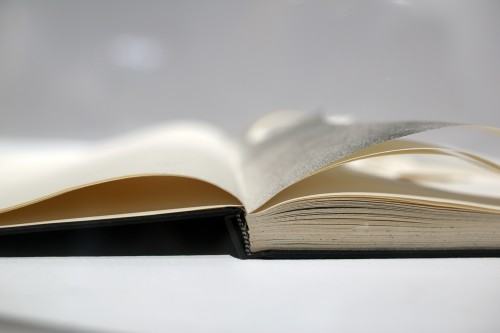 Wernisaż wystawy OPSK w galerii Sztuka na miejscu