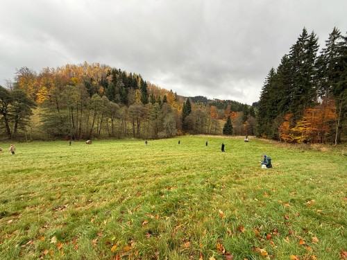 Connect – Campus Summer School – szkoła wymiany Connect – Campus Summer School – szkoła wymiany