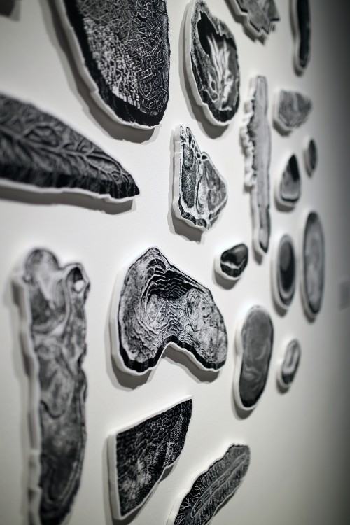 Wernisaż wystawy OPSK w galerii Sztuka na miejscu