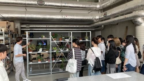 Summer Art and Design School 2025