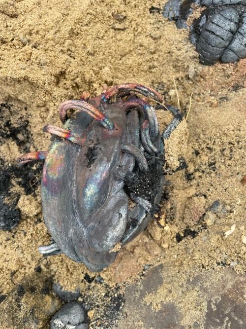 Ceramiczne działania warsztatowe w Luboradowie