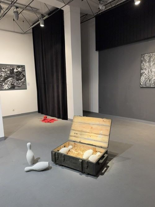 Influentia_wernisaż