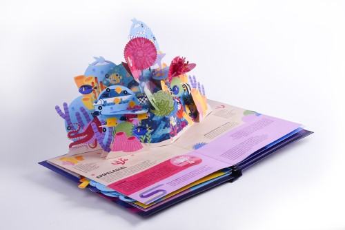 Jagoda Mądrzak _Design 32