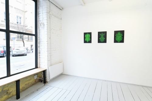 Justyna Baśnik, Adoratio, exhibition view, Łęctwo