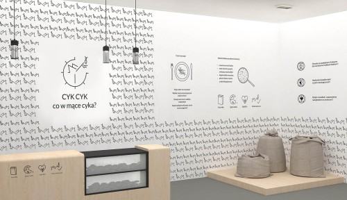 Kamila Bąk, aranżacja i branding lokalu, Co w mące piszczy, produkty gastronomiczne ze świerszczy, 2019