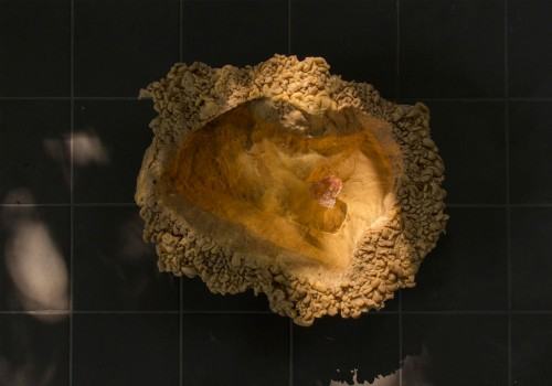 Katarzyna Bogusz-Entasis