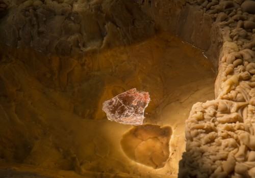 Katarzyna Bogusz-entasis