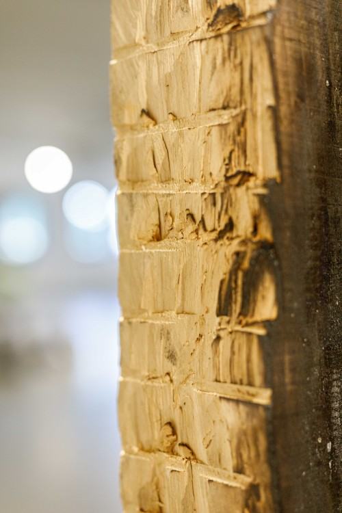 Burning re-collection II