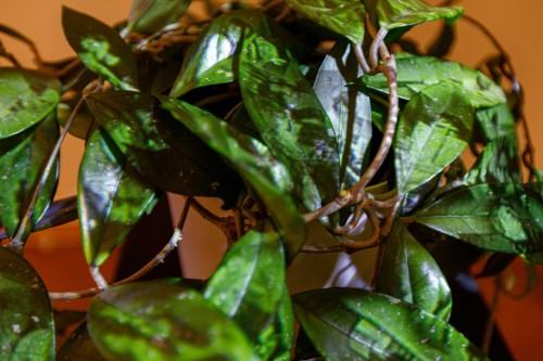 Inna Historia_wernisaż