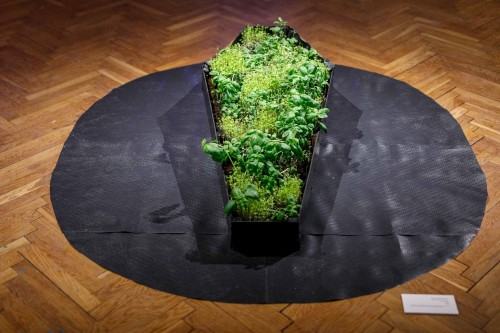 Inna Historia_wernisaż