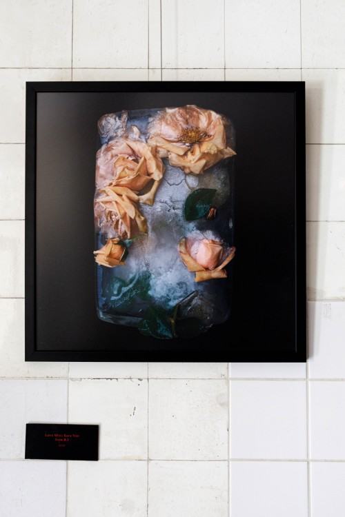 Koncert Frise Lumière i wystawa † A  M  B  I  E  N  T † Łukasz Paluch