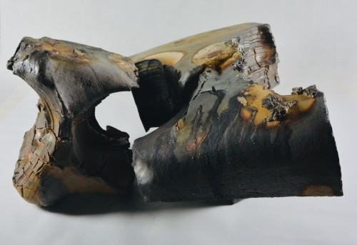 Michał Puszczyński, Kiss, zdj. autor