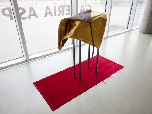 Katarzyna Szarek, Fundament