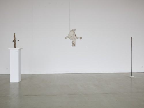 Katarzyna Szarek, Fundament