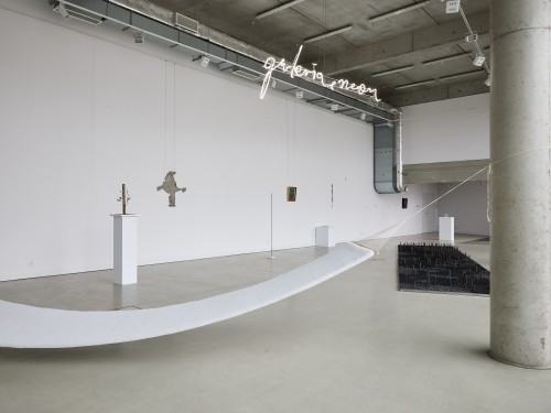 Katarzyna Szarek, Fundament