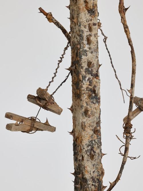 Katarzyna Szarek, Fundament