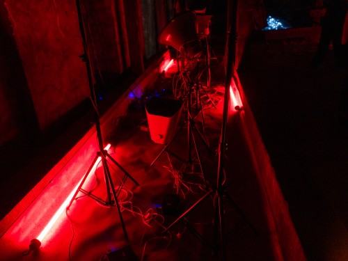 LAACT, fot. B. Radzikowski