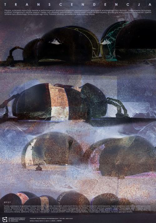 Natalia Piksa, Transcendencja, zdj. Natalia Piksa