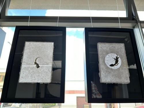 Pejzaż jako początek