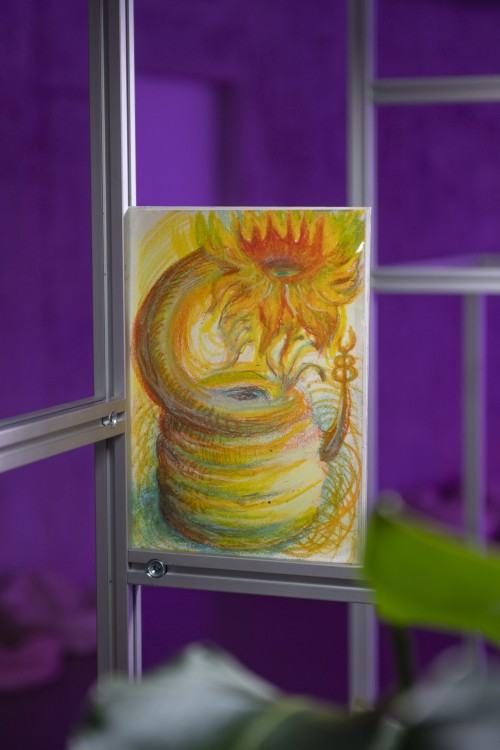 plantifictions_phd_pabloramirezgonzalez