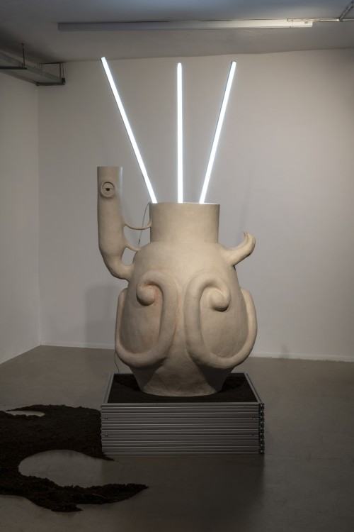 plantifictions_phd_pabloramirezgonzalez