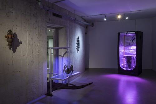 plantifictions_phd_pabloramirezgonzalez