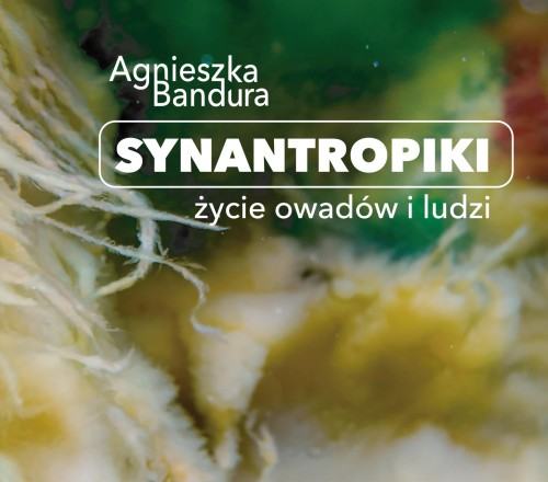 Synantropiki – życie owadów i ludzi