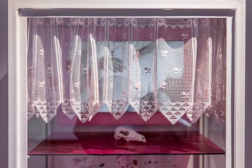 Dyplomy z Pracowni Fotografii Intermedialnej i Działań Dokamerowych na Międzynarodowym Festiwalu Fotografii w Łodzi